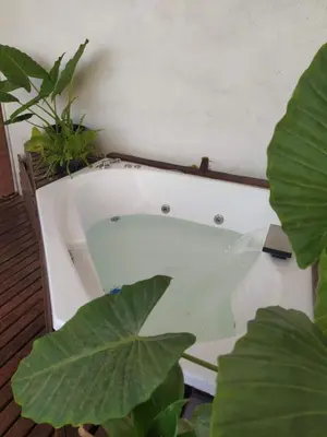 a white bath tub with plants in a room at HA! 2 Resi para estudiantes in Cordoba