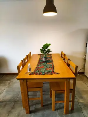 a wooden table with a potted plant on it at Solar de Roca in Embalse