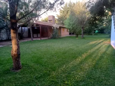 a yard with a house and a tree in the grass at Complejo Los Sauces in Mina Clavero