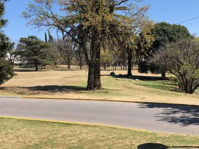 a road with a tree on the side of a park at Saint Michel Departamentos para turismo in Alta Gracia