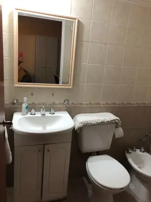 a bathroom with a toilet and a sink and a mirror at Saint Michel Departamentos para turismo in Alta Gracia