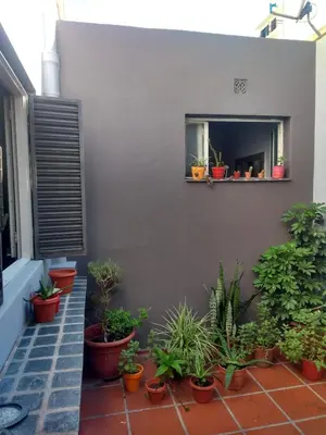 a courtyard with potted plants on a wall with a window at HA! 1 Resi para estudiantes in Cordoba