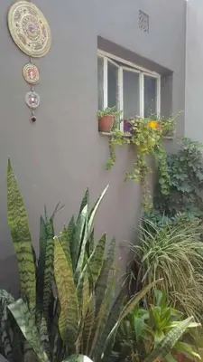 a window with potted plants on the side of a building at HA! 1 Resi para estudiantes in Cordoba