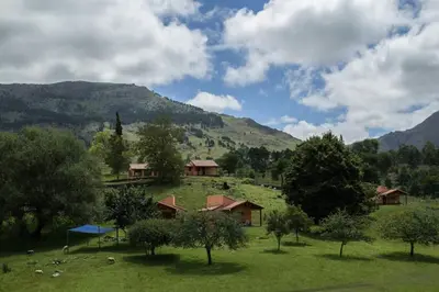 a group of houses in a field with a mountain at Los Abedules Cabañas in Villa Alpina