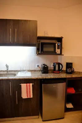 a kitchen with a sink and a microwave at ARROYO SUITE HOUSE in Mina Clavero