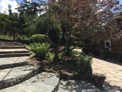 a garden with a tree and some stairs at Las Verbenas Hotel in La Cumbrecita