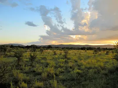 a field of grass with a sunset in the background at La Catalina Suites de Campo in Nono