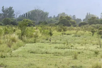 a person walking through a field of grass at La Catalina Suites de Campo in Nono