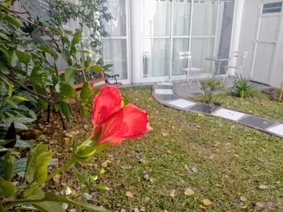 a red flower in the yard of a house at RAIZ DEL CIELO, entre 2 jardines de ensueño in Cordoba