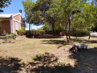 a yard with some trees and a house at Cabañas Rayuela y otros cuentos in Santa Rosa de Calamuchita