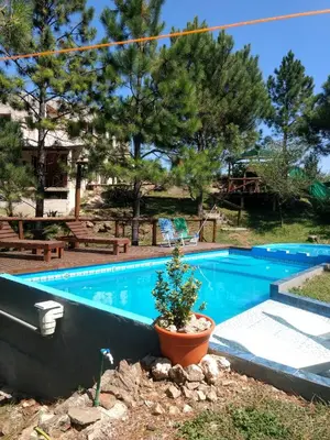 a swimming pool with a potted plant next to it at Terra Nostra in Cordoba