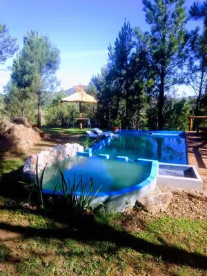a large swimming pool in a yard with an umbrella at Terra Nostra in Cordoba