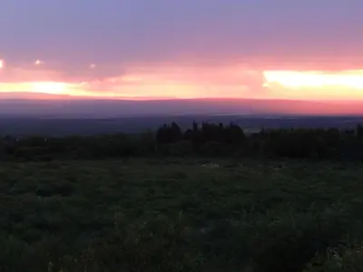 a sunset over a field with trees in the distance at LUMAFACA in La Población