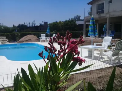 a plant with purple flowers next to a swimming pool at Complejo Cielo Azul in Villa Rumipal