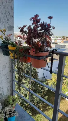 a balcony with potted plants on a railing at Departamento Fragueiro 2414 terraza exclusiva in Cordoba