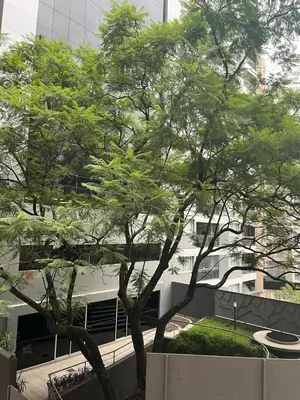 Gallery image of Mairea II, Nueva Cordoba in Cordoba