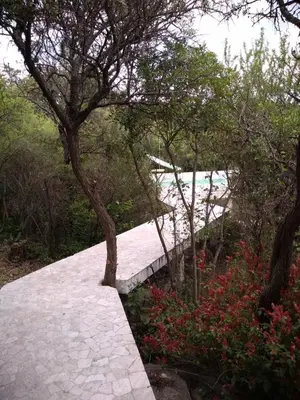 a stone path leading to the beach with trees and flowers at Casa Monte in Villa Icho Cruz