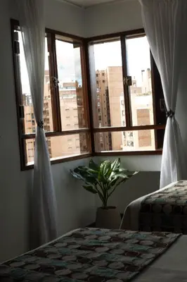 a bedroom with a bed and a window with a plant at Hotel de la Cañada in Cordoba