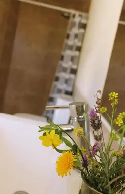 a vase filled with flowers sitting on a counter at Casas Pura Vida in Villa General Belgrano