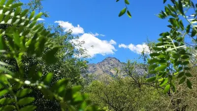 a view of a mountain through the trees at La Quebradita in San Javier