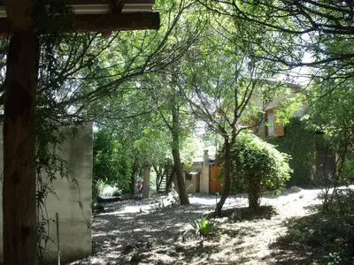 a yard with trees and a house in the background at La Quebradita in San Javier