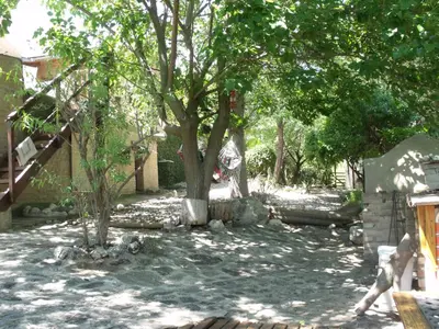 a shady yard with a tree in the middle at La Quebradita in San Javier