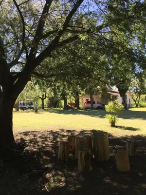 a tree with wooden stumps in a park at Casa en Villa Amancay in Amboy