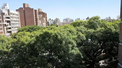 a group of trees in a city with buildings at Luminoso departamento en Cañada y a pasos de todo! in Cordoba