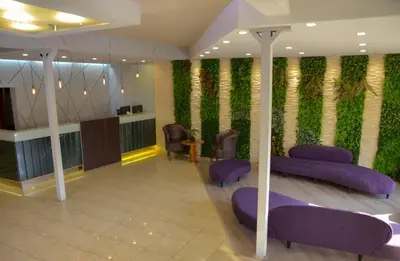 a waiting room with purple chairs and a green wall at Hotel Ananque in Villa Carlos Paz