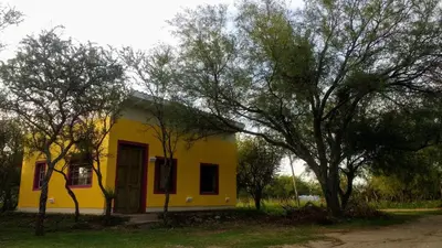 a yellow house with trees in front of it at apartamento VINTAGE IVA in Merlo