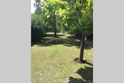 a group of trees in a field with grass at Santa Rosa con parque y rio Ideal para familias in Santa Rosa de Calamuchita