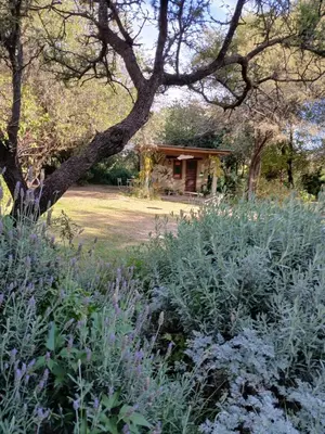 a garden with a house in the background at Surya- en La Casa de Nanda in San Javier