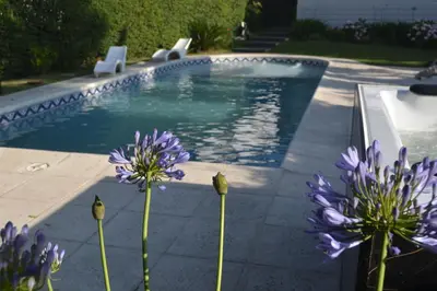 a swimming pool with purple flowers in front of it at Casa Simona Villa General Belgrano in Villa General Belgrano
