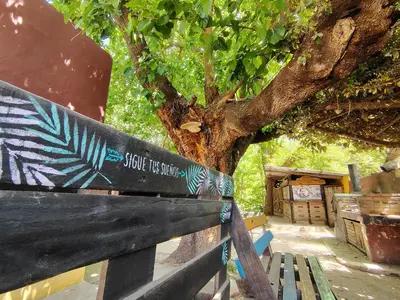a wooden bench sitting next to a tree at Andamundos Hostel in Mina Clavero