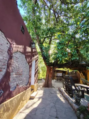 a tree and a bench next to a building at Andamundos Hostel in Mina Clavero