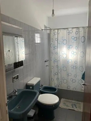 a bathroom with a toilet and a sink and a shower at La Elvira in Alta Gracia