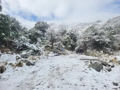 a snow covered path on a mountain with trees at Alma Valiente in Merlo