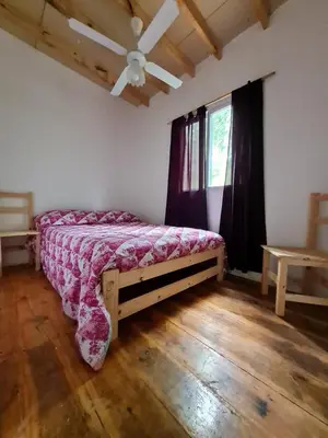 a bedroom with a bed and a ceiling fan at Las zarinas 1 in Trapiche