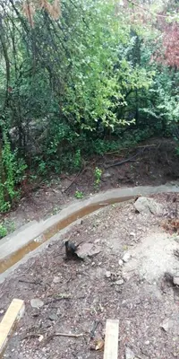 a road in the middle of a field with trees at Las zarinas 2 in Trapiche
