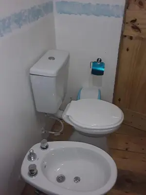 a bathroom with a white toilet and a sink at Las zarinas 2 in Trapiche