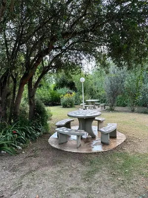 a group of picnic tables under a tree at El Roble in Merlo