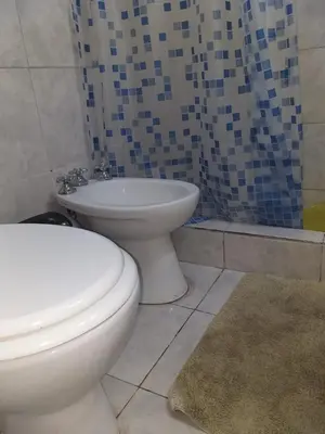 a bathroom with a toilet and a shower at MT Verde Barrio Jardín in Cordoba