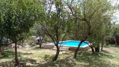 a swimming pool in the middle of some trees at La Roja y Barro tal vez in Los Molles