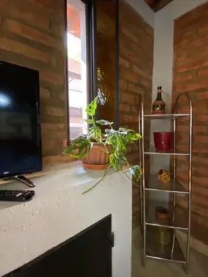 a plant sitting on a counter next to a window at Merlo2 in Merlo