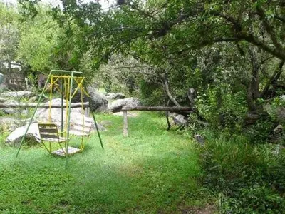 a swing set in the grass under a tree at Cabañas Entrelomas in Nono