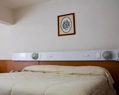a bedroom with a bed and a picture on the wall at Hotel Menossi in Río Cuarto