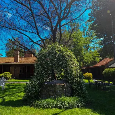 a bush in front of a house with a tree at Hostal La Merced in Villa General Belgrano