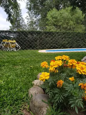 a garden with yellow and orange flowers and a fence at Rincón Sereno in Villa General Belgrano
