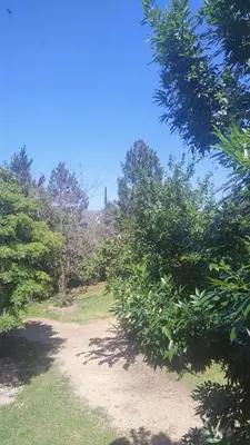 a path through the trees in a park at Mirador Sierras in Alta Gracia