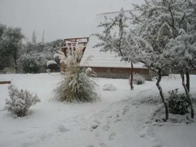 a snow covered yard with a house and a tree at Cabañas Ayres del cerro in Merlo